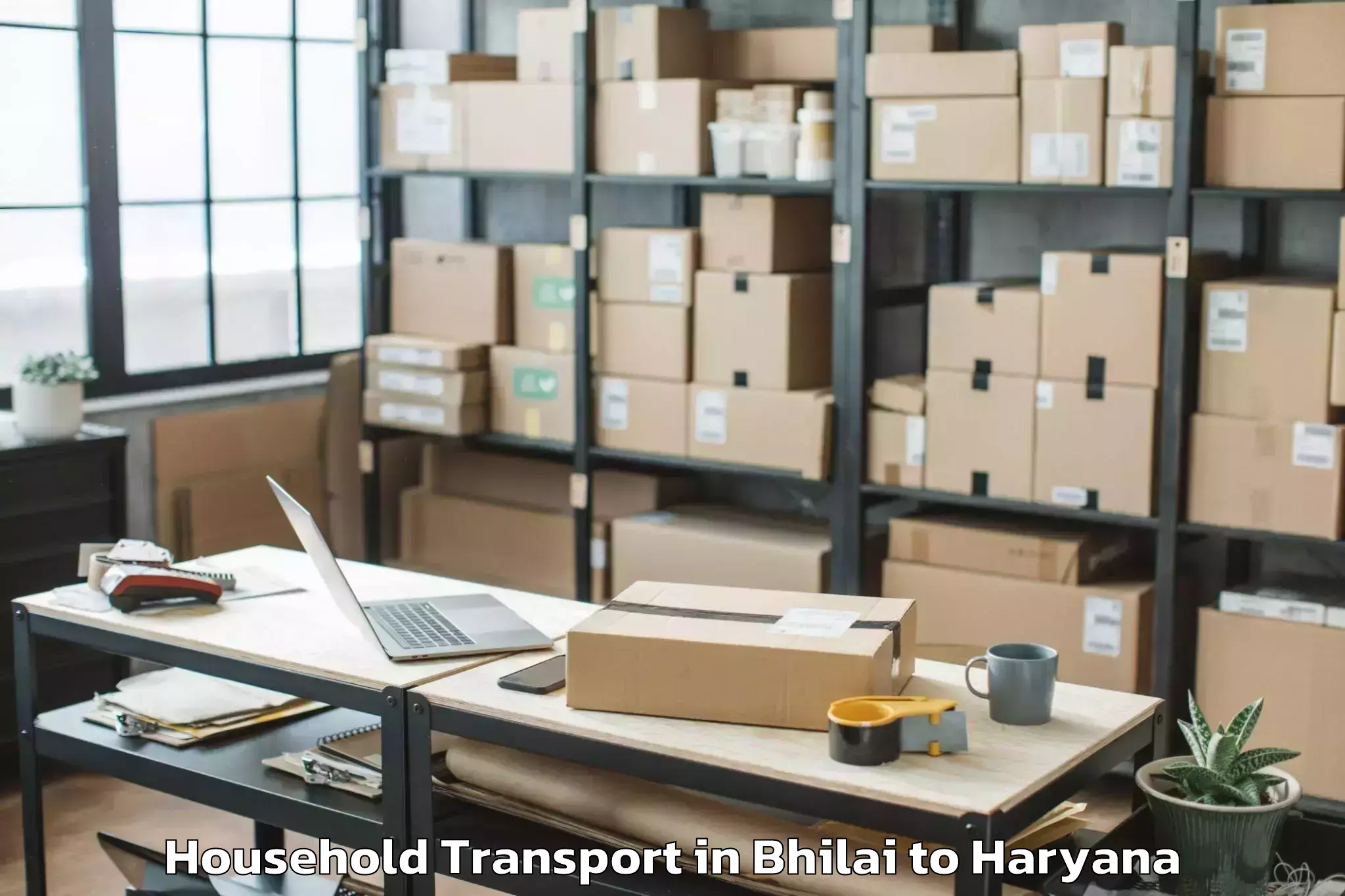 Bhilai to Bahadurgarh Household Transport Booking